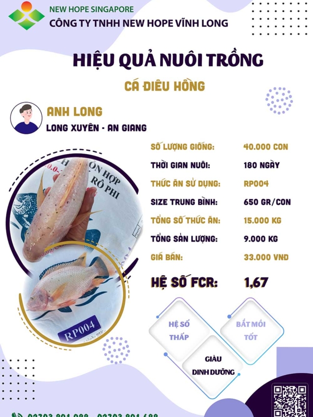 hieuquanuoitrong-anhlong