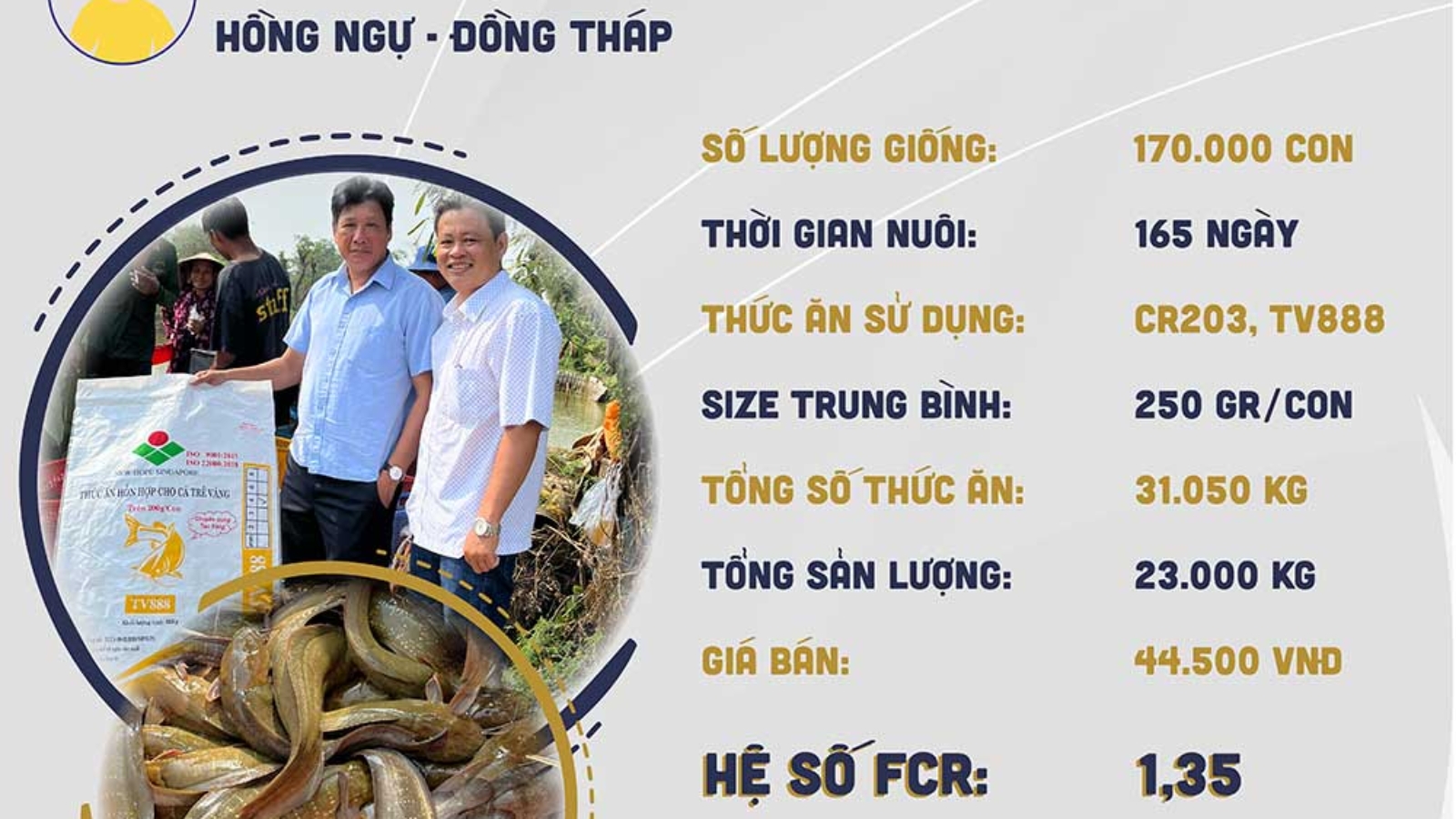 hieuquanuoitrong-cobay